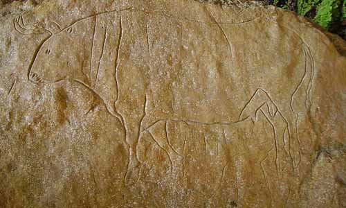 Arte rupestre: Grotta del Romito