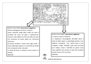 descrizione soggettiva ambiente