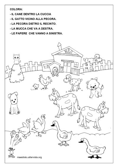 collocatori spaziali scuola primaria