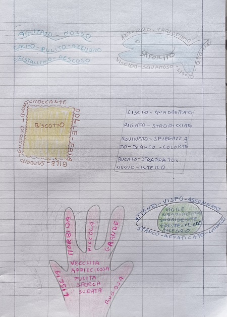 aggettivo qualificativo scuola primaria attività 2