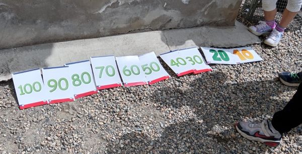 linea dei numeri attività