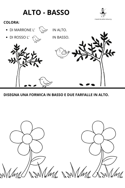 alto basso scuola primaria